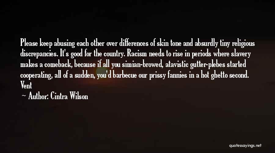 Cintra Wilson Quotes: Please Keep Abusing Each Other Over Differences Of Skin Tone And Absurdly Tiny Religious Discrepancies. It's Good For The Country.