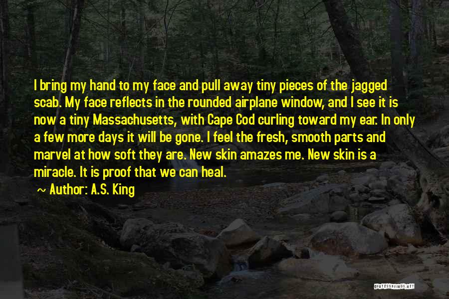 A.S. King Quotes: I Bring My Hand To My Face And Pull Away Tiny Pieces Of The Jagged Scab. My Face Reflects In