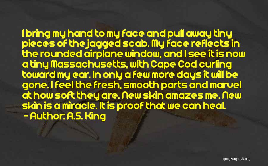 A.S. King Quotes: I Bring My Hand To My Face And Pull Away Tiny Pieces Of The Jagged Scab. My Face Reflects In