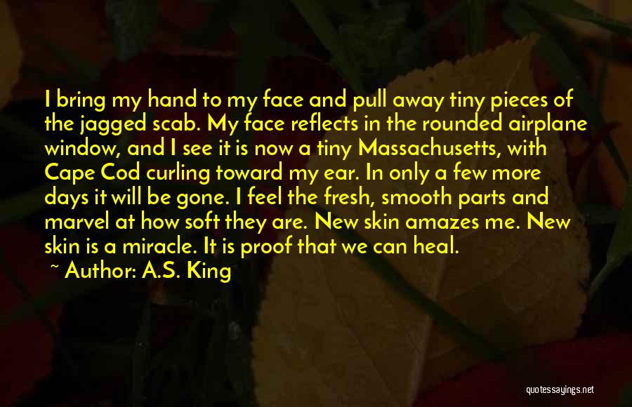 A.S. King Quotes: I Bring My Hand To My Face And Pull Away Tiny Pieces Of The Jagged Scab. My Face Reflects In