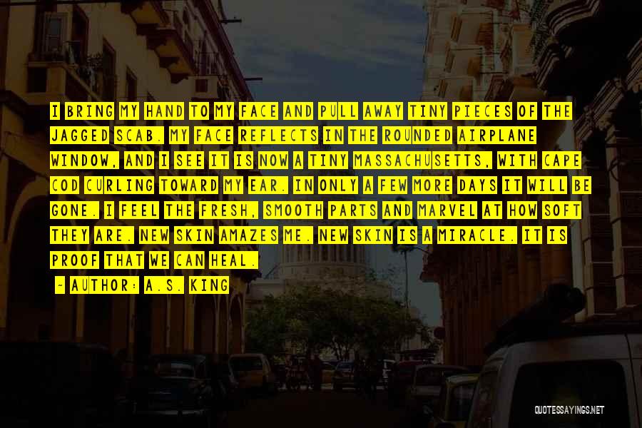 A.S. King Quotes: I Bring My Hand To My Face And Pull Away Tiny Pieces Of The Jagged Scab. My Face Reflects In