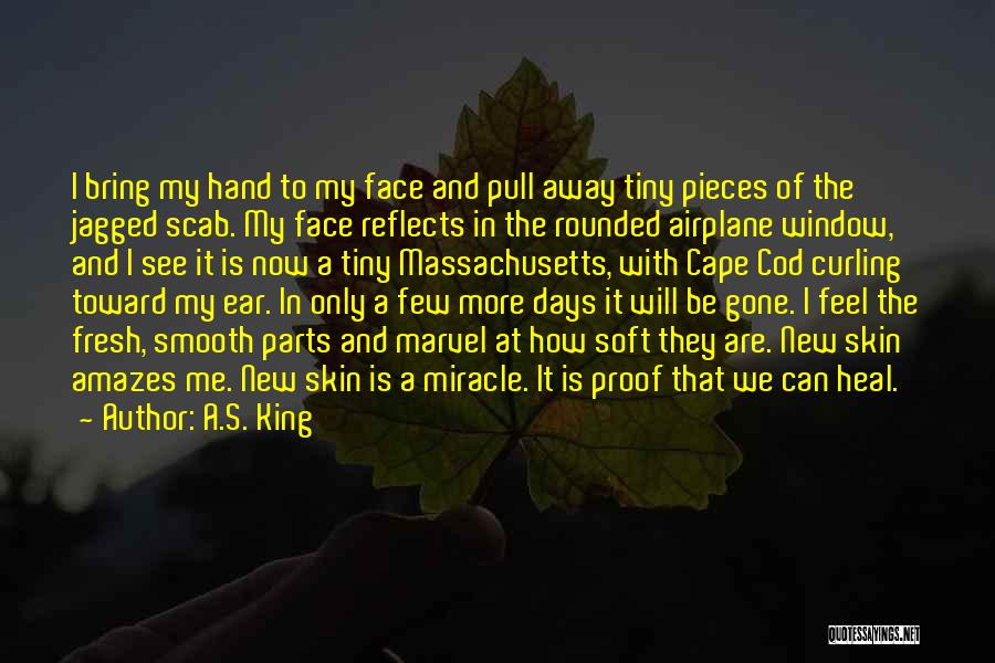 A.S. King Quotes: I Bring My Hand To My Face And Pull Away Tiny Pieces Of The Jagged Scab. My Face Reflects In