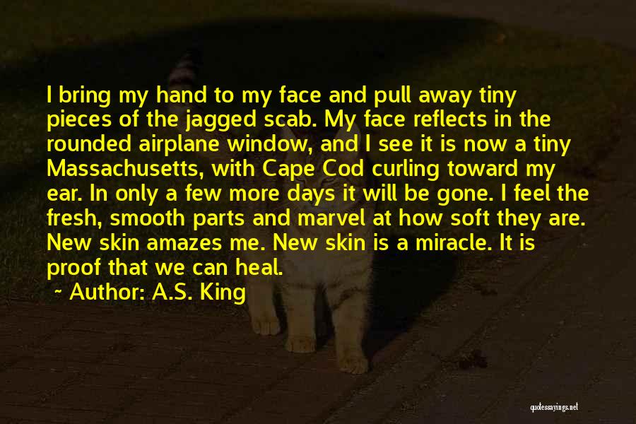 A.S. King Quotes: I Bring My Hand To My Face And Pull Away Tiny Pieces Of The Jagged Scab. My Face Reflects In