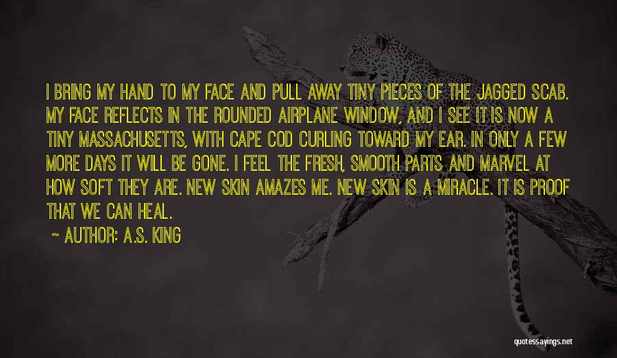 A.S. King Quotes: I Bring My Hand To My Face And Pull Away Tiny Pieces Of The Jagged Scab. My Face Reflects In