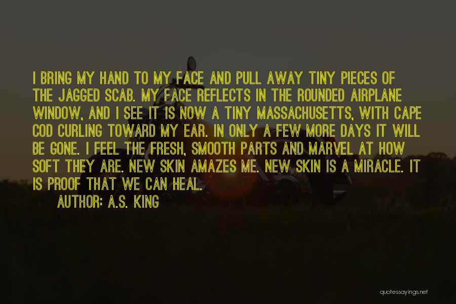 A.S. King Quotes: I Bring My Hand To My Face And Pull Away Tiny Pieces Of The Jagged Scab. My Face Reflects In