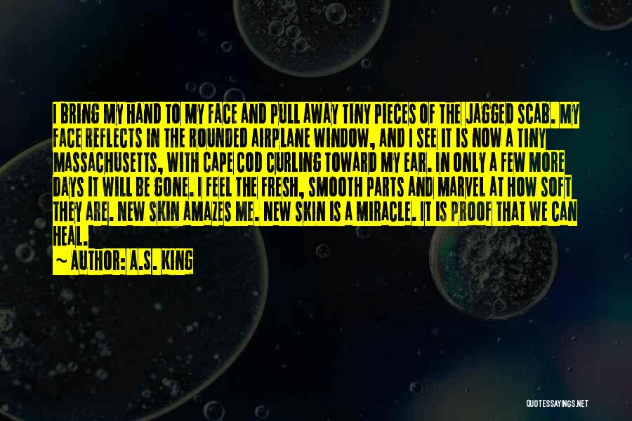 A.S. King Quotes: I Bring My Hand To My Face And Pull Away Tiny Pieces Of The Jagged Scab. My Face Reflects In
