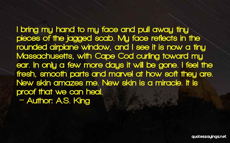 A.S. King Quotes: I Bring My Hand To My Face And Pull Away Tiny Pieces Of The Jagged Scab. My Face Reflects In
