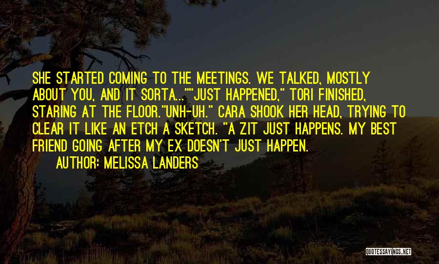 Melissa Landers Quotes: She Started Coming To The Meetings. We Talked, Mostly About You, And It Sorta...just Happened, Tori Finished, Staring At The