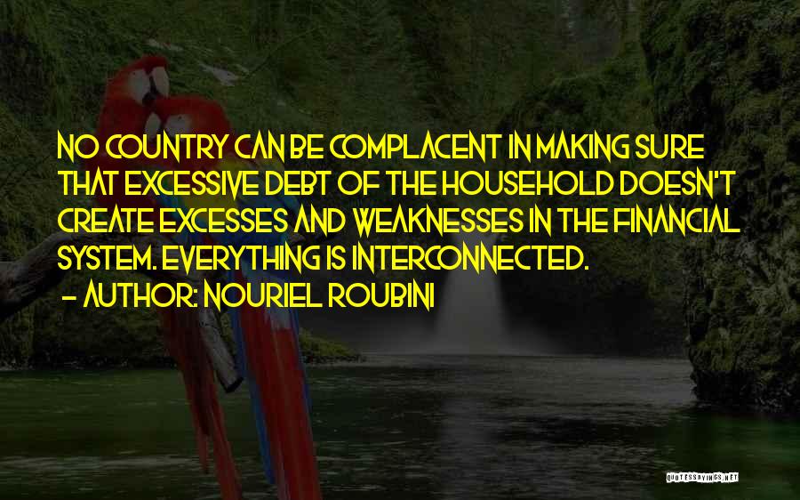 Nouriel Roubini Quotes: No Country Can Be Complacent In Making Sure That Excessive Debt Of The Household Doesn't Create Excesses And Weaknesses In