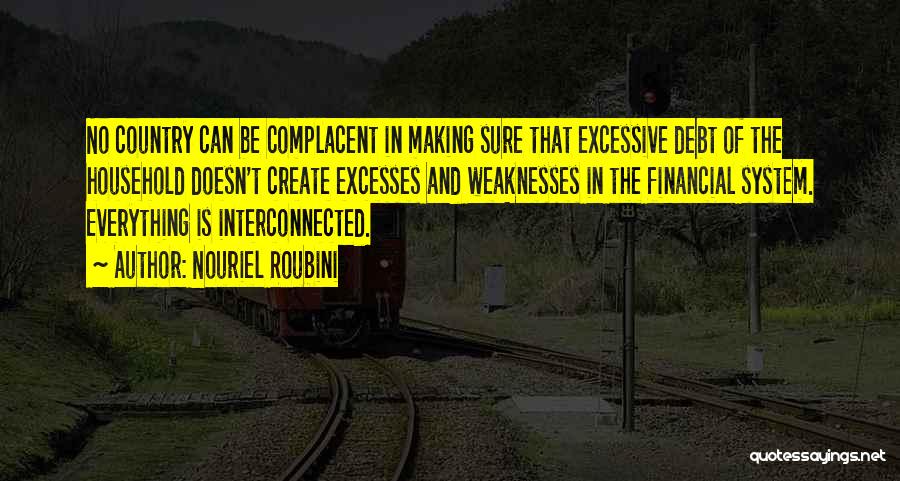 Nouriel Roubini Quotes: No Country Can Be Complacent In Making Sure That Excessive Debt Of The Household Doesn't Create Excesses And Weaknesses In
