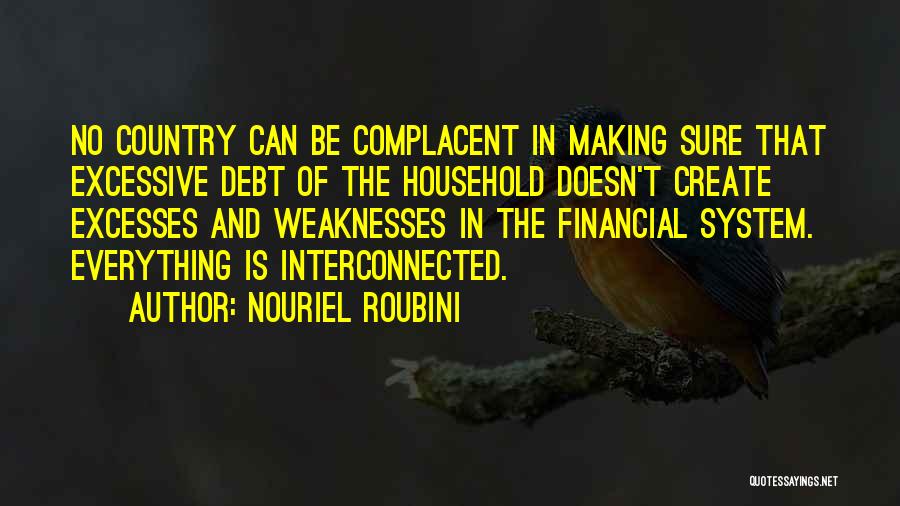 Nouriel Roubini Quotes: No Country Can Be Complacent In Making Sure That Excessive Debt Of The Household Doesn't Create Excesses And Weaknesses In