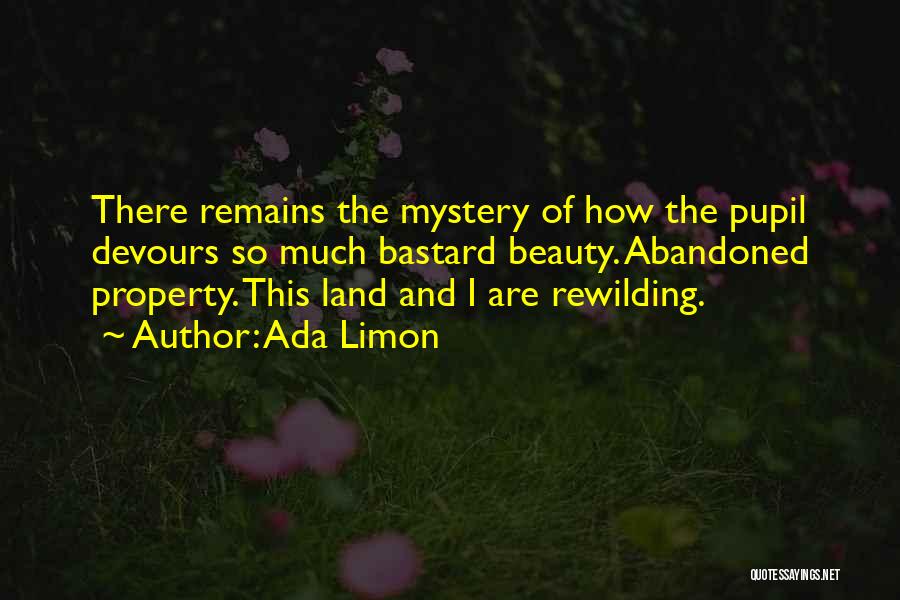 Ada Limon Quotes: There Remains The Mystery Of How The Pupil Devours So Much Bastard Beauty. Abandoned Property. This Land And I Are