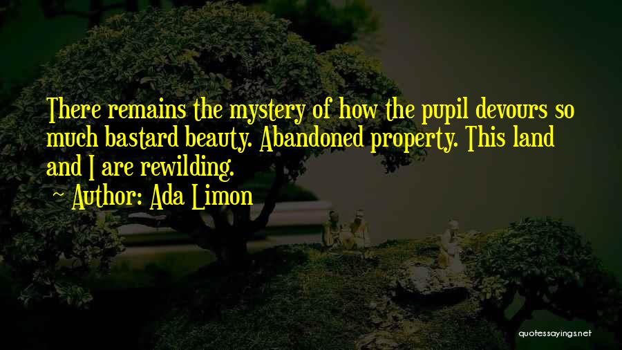 Ada Limon Quotes: There Remains The Mystery Of How The Pupil Devours So Much Bastard Beauty. Abandoned Property. This Land And I Are