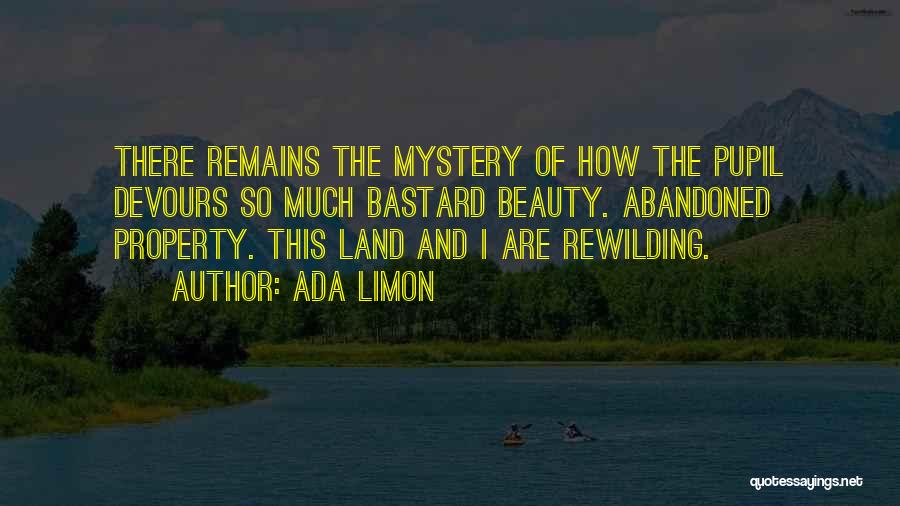 Ada Limon Quotes: There Remains The Mystery Of How The Pupil Devours So Much Bastard Beauty. Abandoned Property. This Land And I Are
