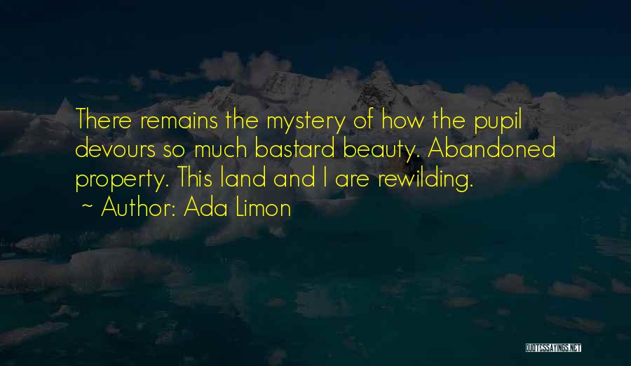 Ada Limon Quotes: There Remains The Mystery Of How The Pupil Devours So Much Bastard Beauty. Abandoned Property. This Land And I Are