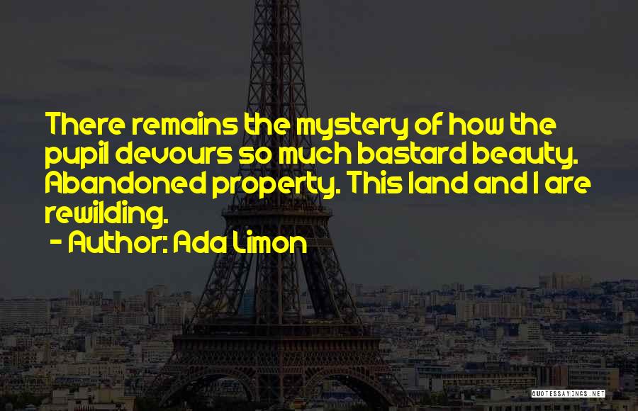 Ada Limon Quotes: There Remains The Mystery Of How The Pupil Devours So Much Bastard Beauty. Abandoned Property. This Land And I Are
