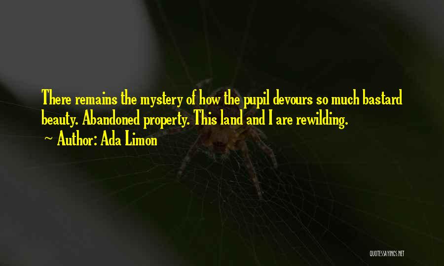 Ada Limon Quotes: There Remains The Mystery Of How The Pupil Devours So Much Bastard Beauty. Abandoned Property. This Land And I Are