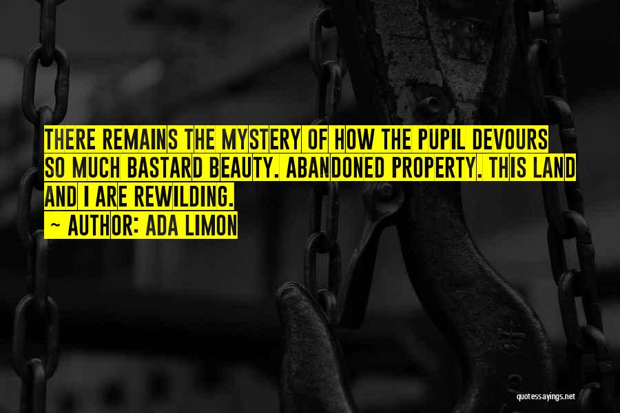 Ada Limon Quotes: There Remains The Mystery Of How The Pupil Devours So Much Bastard Beauty. Abandoned Property. This Land And I Are