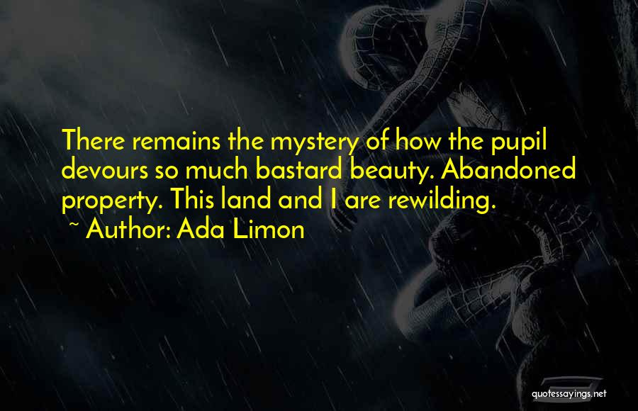 Ada Limon Quotes: There Remains The Mystery Of How The Pupil Devours So Much Bastard Beauty. Abandoned Property. This Land And I Are