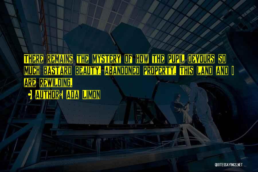 Ada Limon Quotes: There Remains The Mystery Of How The Pupil Devours So Much Bastard Beauty. Abandoned Property. This Land And I Are