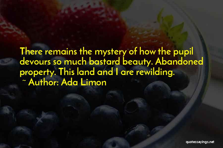 Ada Limon Quotes: There Remains The Mystery Of How The Pupil Devours So Much Bastard Beauty. Abandoned Property. This Land And I Are
