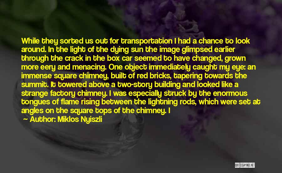 Miklos Nyiszli Quotes: While They Sorted Us Out For Transportation I Had A Chance To Look Around. In The Light Of The Dying