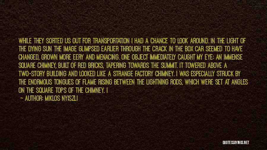 Miklos Nyiszli Quotes: While They Sorted Us Out For Transportation I Had A Chance To Look Around. In The Light Of The Dying