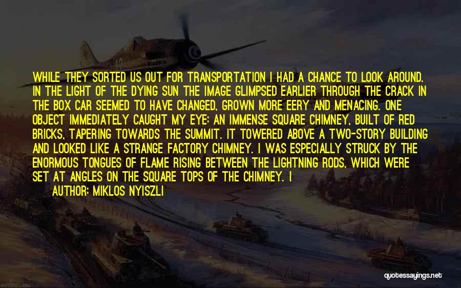 Miklos Nyiszli Quotes: While They Sorted Us Out For Transportation I Had A Chance To Look Around. In The Light Of The Dying