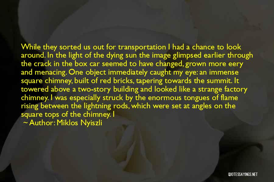 Miklos Nyiszli Quotes: While They Sorted Us Out For Transportation I Had A Chance To Look Around. In The Light Of The Dying