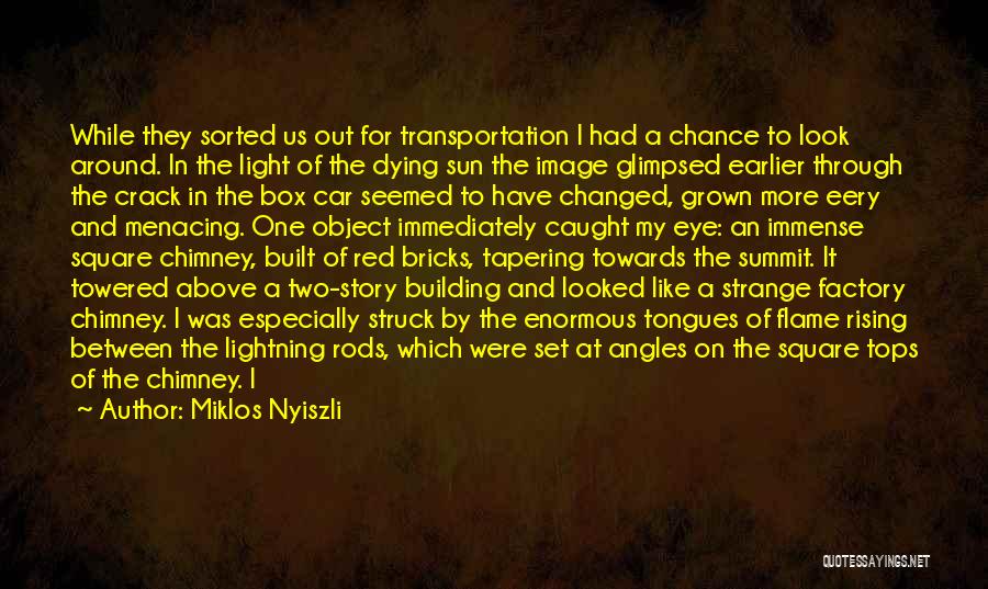 Miklos Nyiszli Quotes: While They Sorted Us Out For Transportation I Had A Chance To Look Around. In The Light Of The Dying
