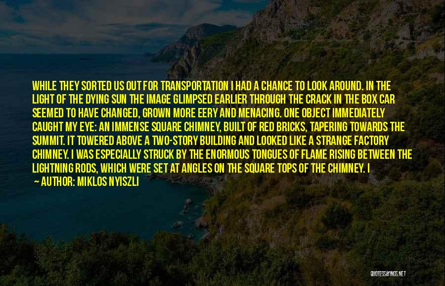 Miklos Nyiszli Quotes: While They Sorted Us Out For Transportation I Had A Chance To Look Around. In The Light Of The Dying