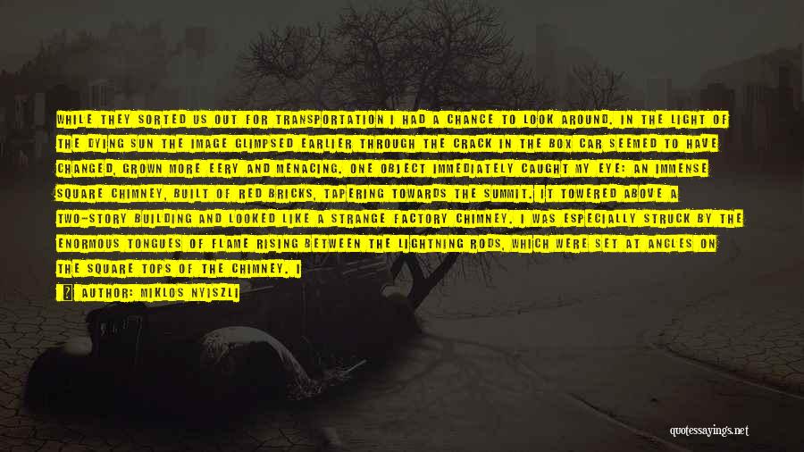 Miklos Nyiszli Quotes: While They Sorted Us Out For Transportation I Had A Chance To Look Around. In The Light Of The Dying