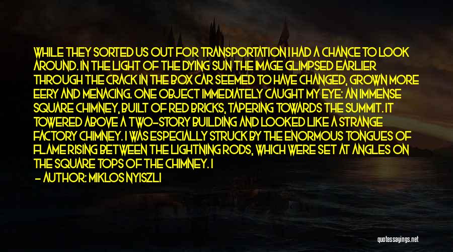 Miklos Nyiszli Quotes: While They Sorted Us Out For Transportation I Had A Chance To Look Around. In The Light Of The Dying