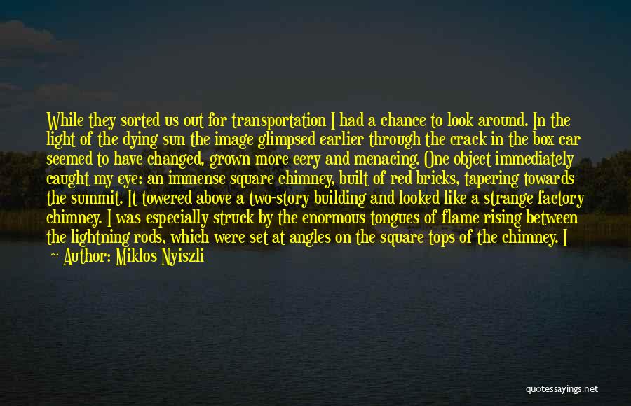 Miklos Nyiszli Quotes: While They Sorted Us Out For Transportation I Had A Chance To Look Around. In The Light Of The Dying