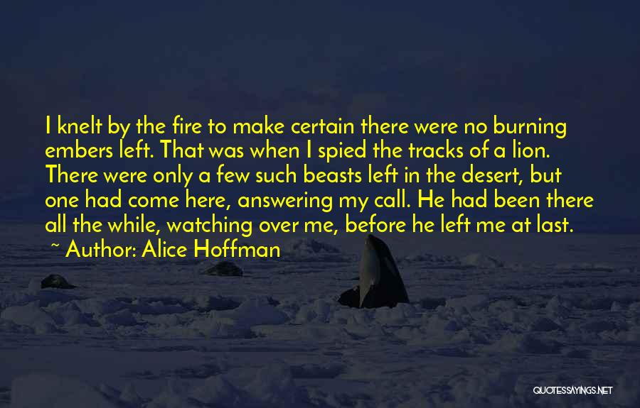 Alice Hoffman Quotes: I Knelt By The Fire To Make Certain There Were No Burning Embers Left. That Was When I Spied The