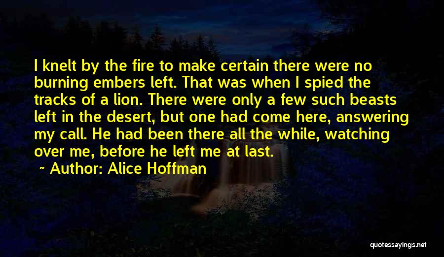 Alice Hoffman Quotes: I Knelt By The Fire To Make Certain There Were No Burning Embers Left. That Was When I Spied The