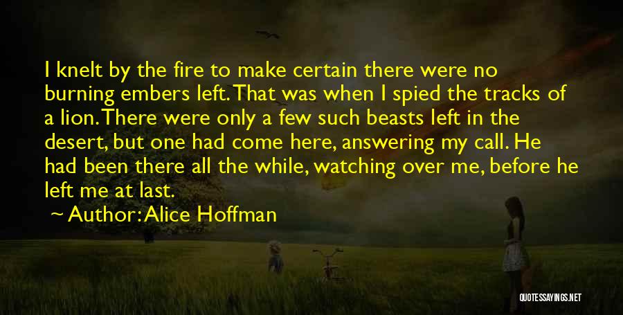 Alice Hoffman Quotes: I Knelt By The Fire To Make Certain There Were No Burning Embers Left. That Was When I Spied The