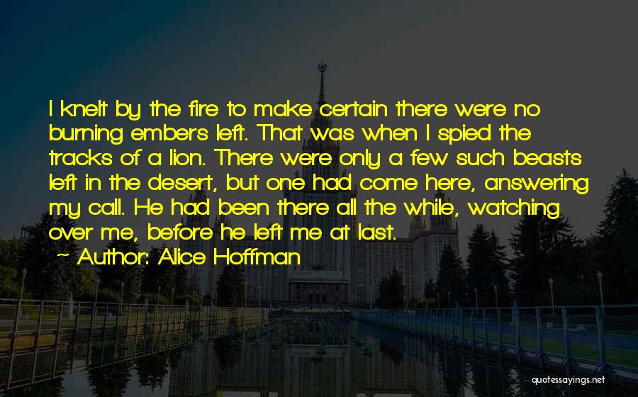 Alice Hoffman Quotes: I Knelt By The Fire To Make Certain There Were No Burning Embers Left. That Was When I Spied The