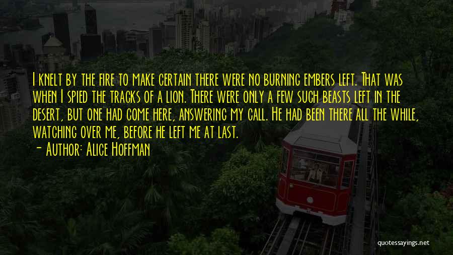 Alice Hoffman Quotes: I Knelt By The Fire To Make Certain There Were No Burning Embers Left. That Was When I Spied The
