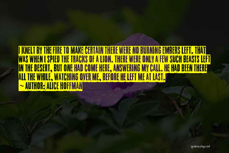 Alice Hoffman Quotes: I Knelt By The Fire To Make Certain There Were No Burning Embers Left. That Was When I Spied The