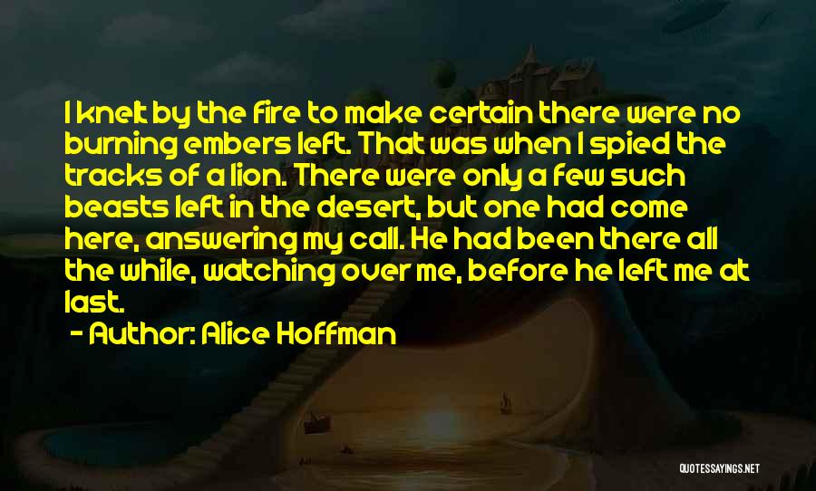 Alice Hoffman Quotes: I Knelt By The Fire To Make Certain There Were No Burning Embers Left. That Was When I Spied The