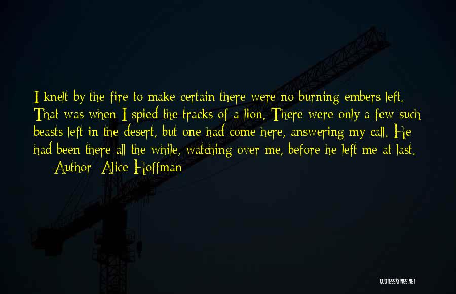 Alice Hoffman Quotes: I Knelt By The Fire To Make Certain There Were No Burning Embers Left. That Was When I Spied The