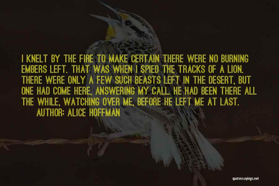 Alice Hoffman Quotes: I Knelt By The Fire To Make Certain There Were No Burning Embers Left. That Was When I Spied The