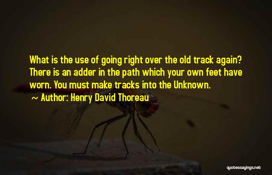 Henry David Thoreau Quotes: What Is The Use Of Going Right Over The Old Track Again? There Is An Adder In The Path Which