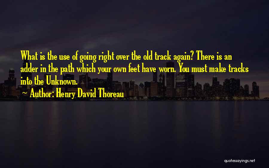 Henry David Thoreau Quotes: What Is The Use Of Going Right Over The Old Track Again? There Is An Adder In The Path Which