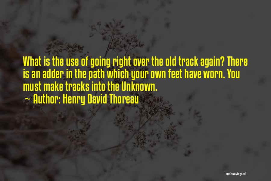 Henry David Thoreau Quotes: What Is The Use Of Going Right Over The Old Track Again? There Is An Adder In The Path Which