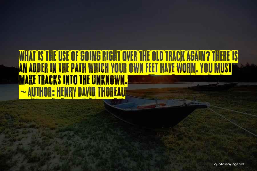 Henry David Thoreau Quotes: What Is The Use Of Going Right Over The Old Track Again? There Is An Adder In The Path Which