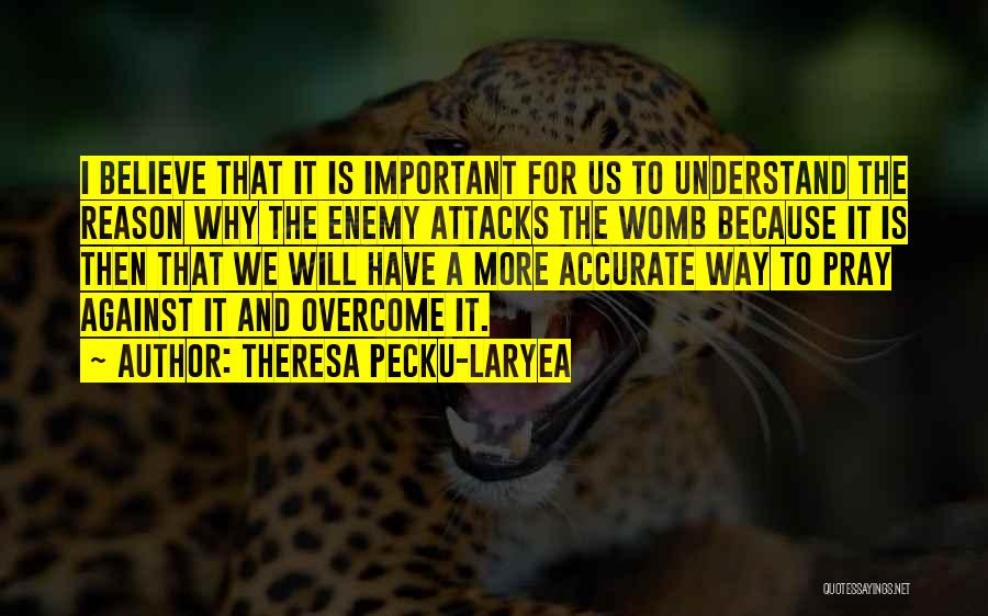 Theresa Pecku-Laryea Quotes: I Believe That It Is Important For Us To Understand The Reason Why The Enemy Attacks The Womb Because It