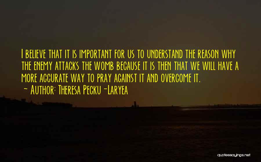 Theresa Pecku-Laryea Quotes: I Believe That It Is Important For Us To Understand The Reason Why The Enemy Attacks The Womb Because It