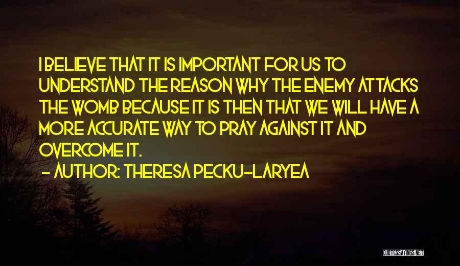 Theresa Pecku-Laryea Quotes: I Believe That It Is Important For Us To Understand The Reason Why The Enemy Attacks The Womb Because It